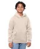 Threadfast Apparel T2000B Epic Youth Fleece Pullov in Sand