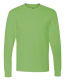 HD6L Fruit of the Loom Adult Lofteez HDLong-Sleeve T-Shirt Kiwi