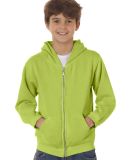 Kiwi Pgmdye