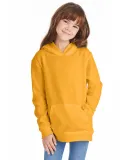 P470 Hanes Youth EcoSmart Pullover Hooded Sweatshi Gold