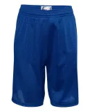 5209 C2 Sport Youth Mesh 6 Short Royal