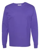 5586 Hanes® Long Sleeve Tagless 6.1 T-shirt - 558 Purple