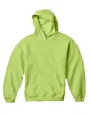 C8755 Comfort Colors Drop Ship Youth 10 oz. Garmen Kiwi