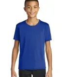 Gildan 46000B Performance® Core Youth Short Sleev in Sport royal