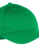 Port & Company YCP80 - Youth Six-Panel Twill Cap Kelly Green