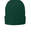 Port & Company CP90L Fleece-Lined Knit Cap in Athl green