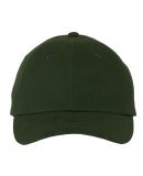 Valucap 6440 Econ Cap in Forest