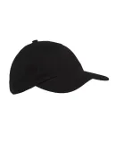 Big Accessories BX001Y Youth Youth 6-Panel Brushed BLACK