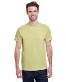 Gildan 2000 Wholesale Ultra Cotton Plain T-Shirt G in Pistachio