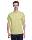 Gildan 2000 Ultra Cotton T-Shirt G200 in Pistachio