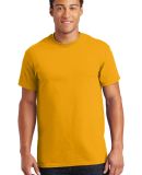 Gildan 2000 Wholesale Ultra Cotton Plain T-Shirt G in Gold