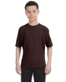 Anvil 990B Combed Ring Spun Cotton Fashion Youth T in Chocolate