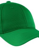 Sport Tek YSTC10 Sport-Tek Youth Dry Zone Nylon Ca in Kelly green