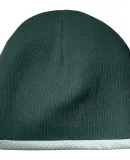 Sport Tek STC15 Sport-Tek Performance Knit Cap in Forest green