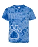 Dyenomite 20BPR Youth Pawprint Short Sleeve T-Shir in Royal