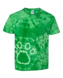 Dyenomite 20BPR Youth Pawprint Short Sleeve T-Shir in Kelly