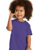 Port & Company CAR54T Toddler Core Cotton Tee in Purple