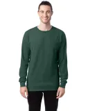 Comfort Wash GDH200 Garment Dyed Long Sleeve T-Shi in Field green