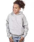 Cotton Heritage Y2500 PREMIUM PULLOVER YOUTH HOODI in Athletic heather