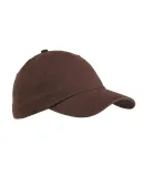 Big Accessories BX001 6-Panel Unstructured Dad Hat in Coffee