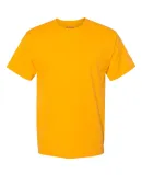 Champion Clothing CP10 Premium Fashion Classics Sh C Gold