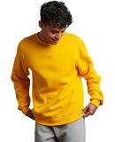 Russel Athletic 698HBM Dri Power® Crewneck Sweats in Gold