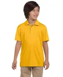 Harriton M353Y Youth Double Mesh Polo GOLD