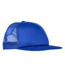 Yupoong-Flex Fit 6005 Classics™ Flat Bill Foam T in Royal