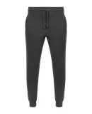 2001 Unisex Fleece Jogger  in Charcoal htr