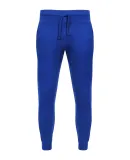 2001 Unisex Fleece Jogger  in Royal