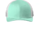 New Era NE207      Snapback Low Profile Trucker Ca in Mint/white