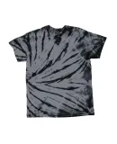 Dyenomite 200SW Sidewinder Tie-Dyed T-Shirt in Zenith