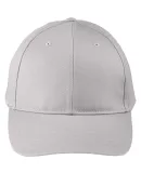 Big Accessories BX020SB Adult Structured Twill 6-P LIGHT GRAY