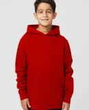 Cotton Heritage Y2550 Youth Pullover Fleece in Team red