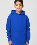 Cotton Heritage Y2550 Youth Pullover Fleece in Team royal