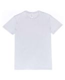 Threadfast Apparel 100A Unisex Ultimate T-Shirt in Silver