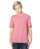 Threadfast Apparel 602A Youth Triblend T-Shirt RED TRIBLEND