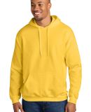 Gildan SF500 Adult Softstyle® Fleece Pullover Hoo in Daisy