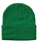 Sportsman SP12 Solid 12" Cuffed Beanie in Kelly