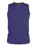 Alleson Athletic A105BA Blank Reversible Game Jers in Purple/ gold