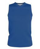 Alleson Athletic A105BA Blank Reversible Game Jers in Royal/ white