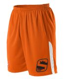 Alleson Athletic A205LA NBA Logo'd Shorts in Phoenix suns