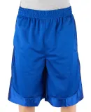 Shaka Wear SHBMS Adult Mesh Shorts in Royal