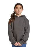 Lane Seven Apparel LS1401Y Youth Premium Pullover  CHARCOAL HEATHER