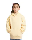 Lane Seven Apparel LS1401Y Youth Premium Pullover  PINA COLADA