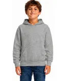 Smart Blanks 301 YOUTH PULLOVER HOODIE in Heather grey