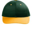 Port Authority Clothing C118 Port Authority Snapba in Dkgrn/gold
