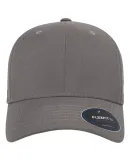 Yupoong-Flex Fit 6110NU NU Adjustable Cap in Grey