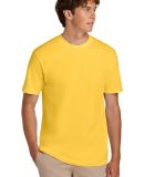 Gildan 65000 Unisex Softstyle Midweight T-Shirt in Daisy