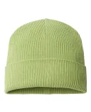 Atlantis Headwear NELSON Sustainable Knit in Leaf green